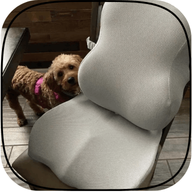 Coushy Seat Cushions